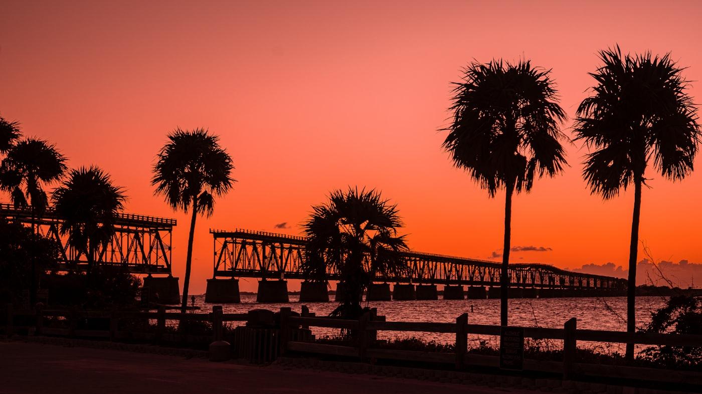 Palm silhouettes against a coastal sunset over A1A