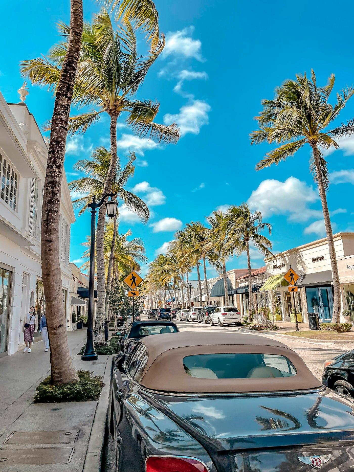 Palm-lined Worth Avenue shopfronts in late light